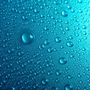 Meet your Posher, Cory